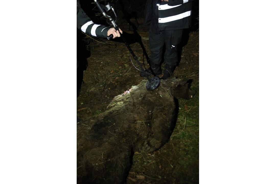 FOTO: Otrasný nález v tatranskom parku, foto 1