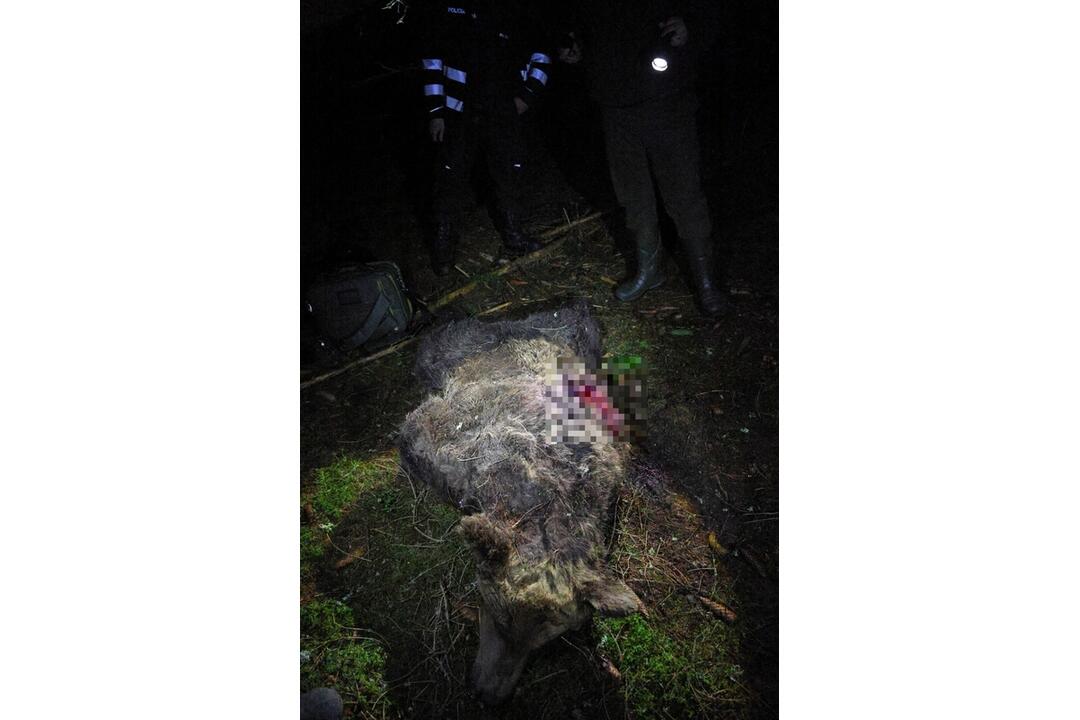 FOTO: Otrasný nález v tatranskom parku, foto 5