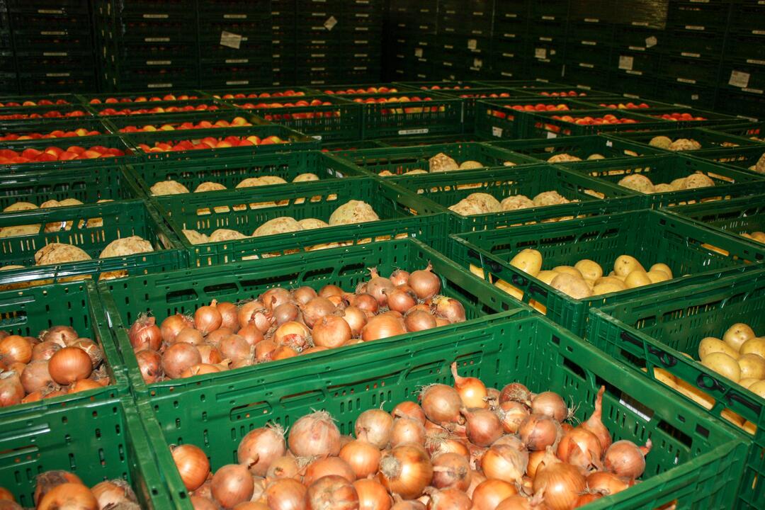 FOTO: Odkiaľ prichádzajú vaše potraviny? Navštívili sme centrálny sklad Kauflandu, foto 11