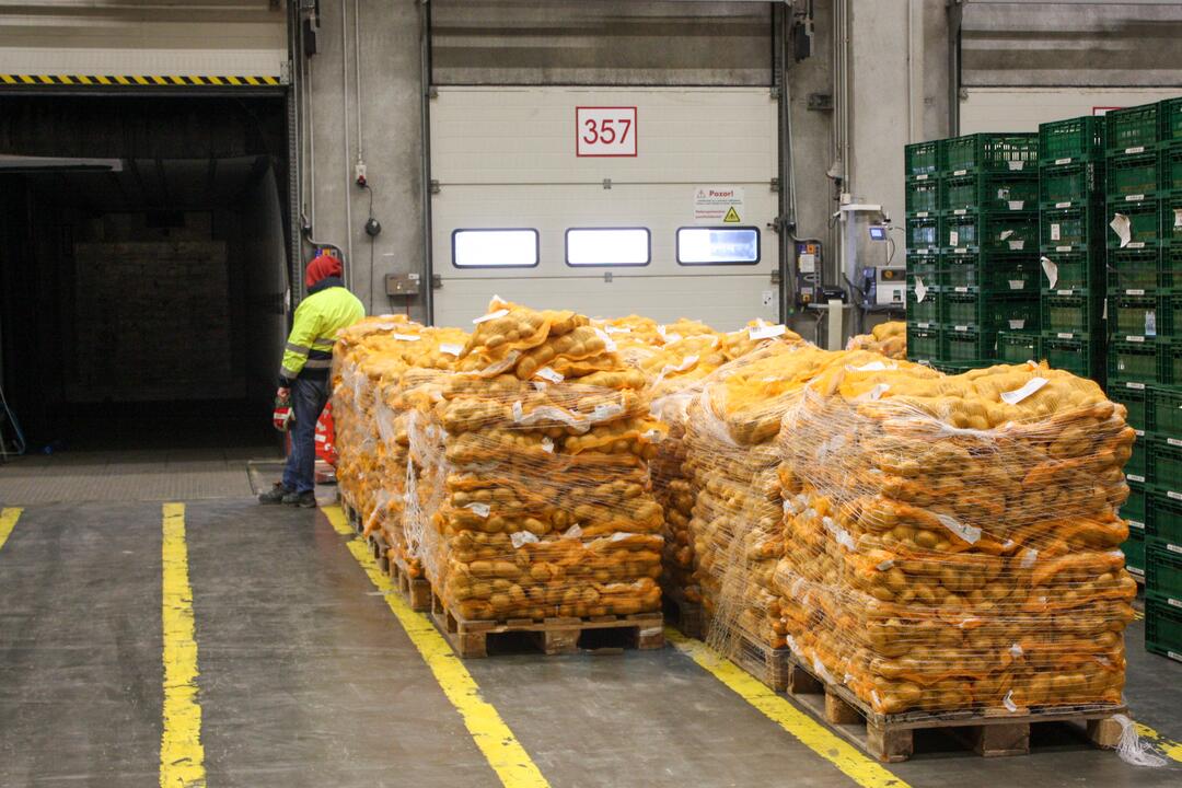 FOTO: Odkiaľ prichádzajú vaše potraviny? Navštívili sme centrálny sklad Kauflandu, foto 13