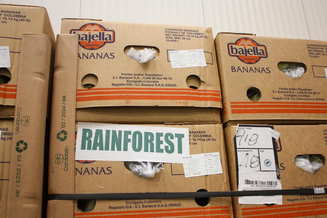 FOTO: Odkiaľ prichádzajú vaše potraviny? Navštívili sme centrálny sklad Kauflandu, foto 14