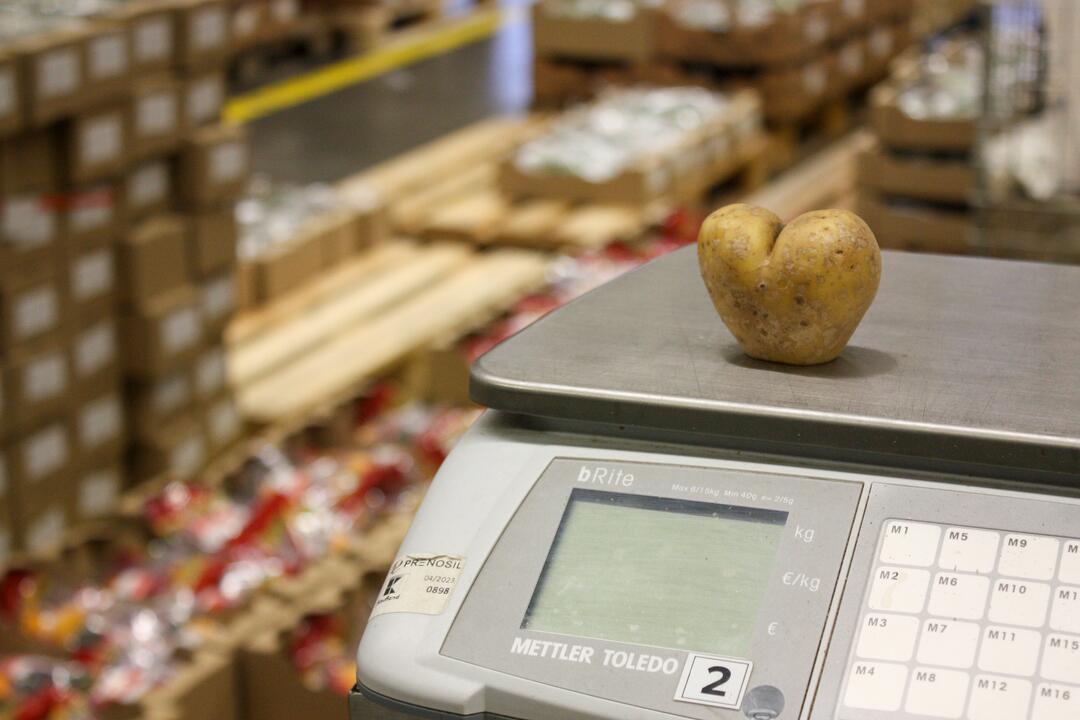 FOTO: Odkiaľ prichádzajú vaše potraviny? Navštívili sme centrálny sklad Kauflandu, foto 26
