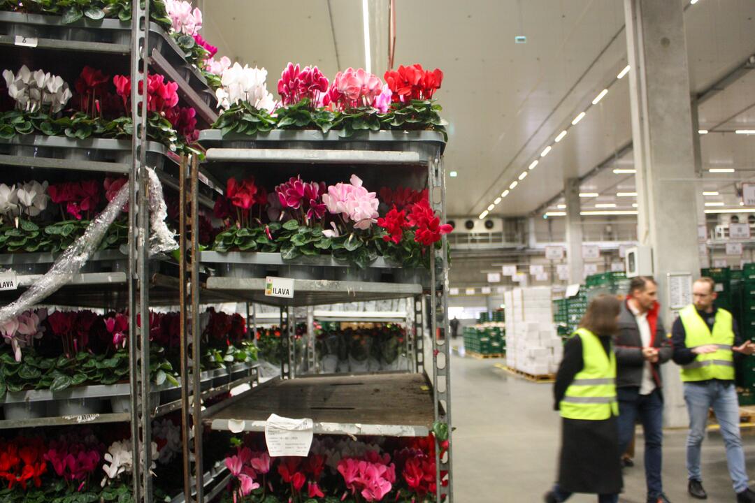 FOTO: Odkiaľ prichádzajú vaše potraviny? Navštívili sme centrálny sklad Kauflandu, foto 27