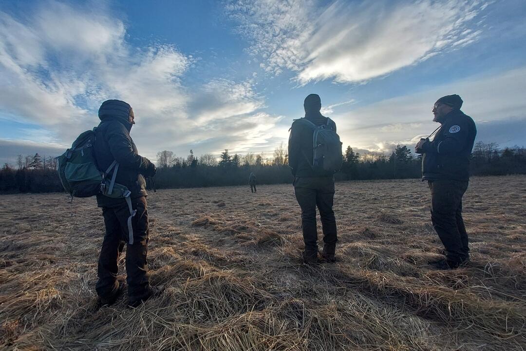 FOTO: Pracovníci TANAP-u si posvietili na nelegálny výrub stromov, foto 2