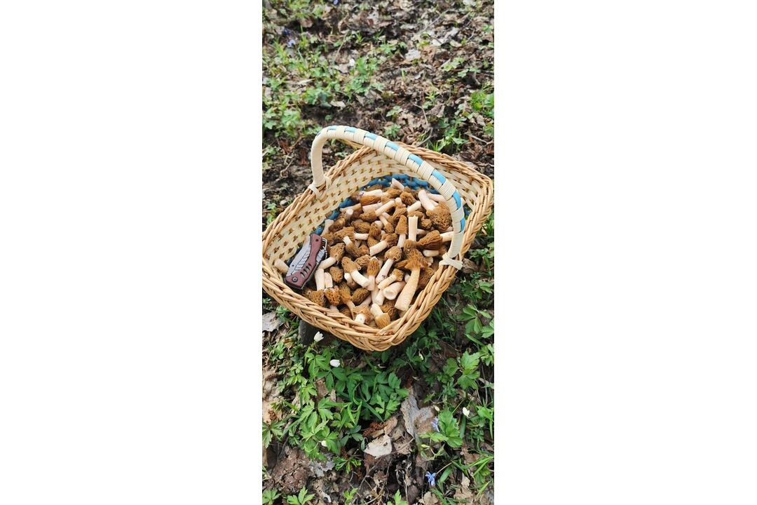 FOTO: Hubári v Prešovskom kraji už zahájili sezónu, foto 9