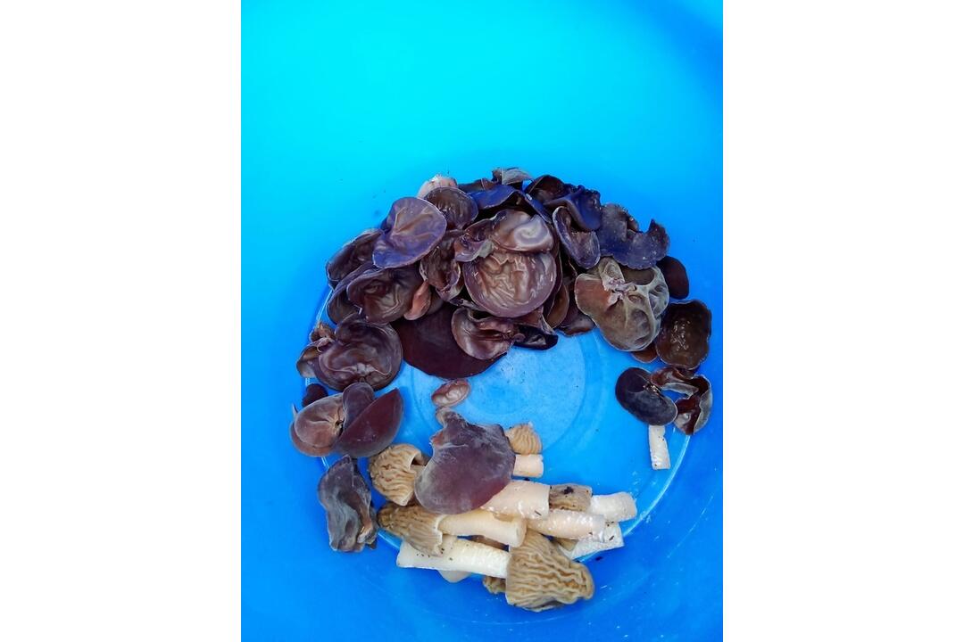 FOTO: Hubári v Prešovskom kraji už zahájili sezónu, foto 10