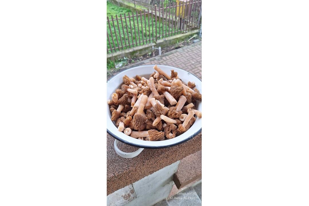 FOTO: Hubári v Prešovskom kraji už zahájili sezónu, foto 14