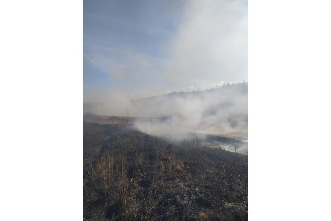 FOTO: Požiar v oblasti Strání pod Tatrami, foto 2