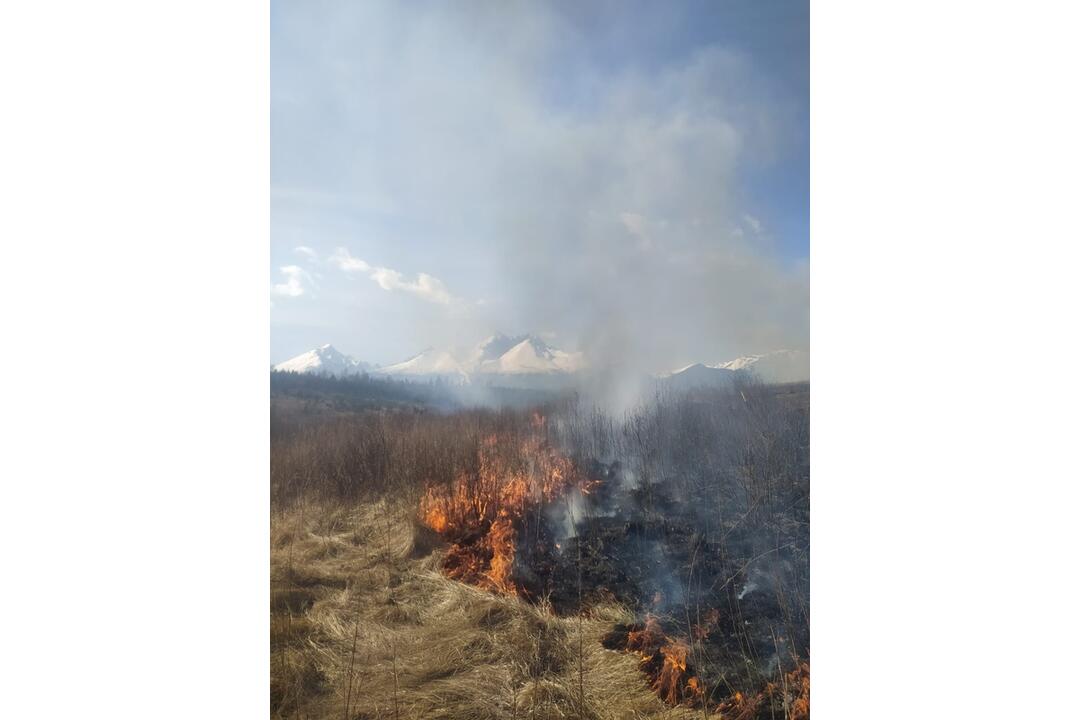 FOTO: Požiar v oblasti Strání pod Tatrami, foto 4