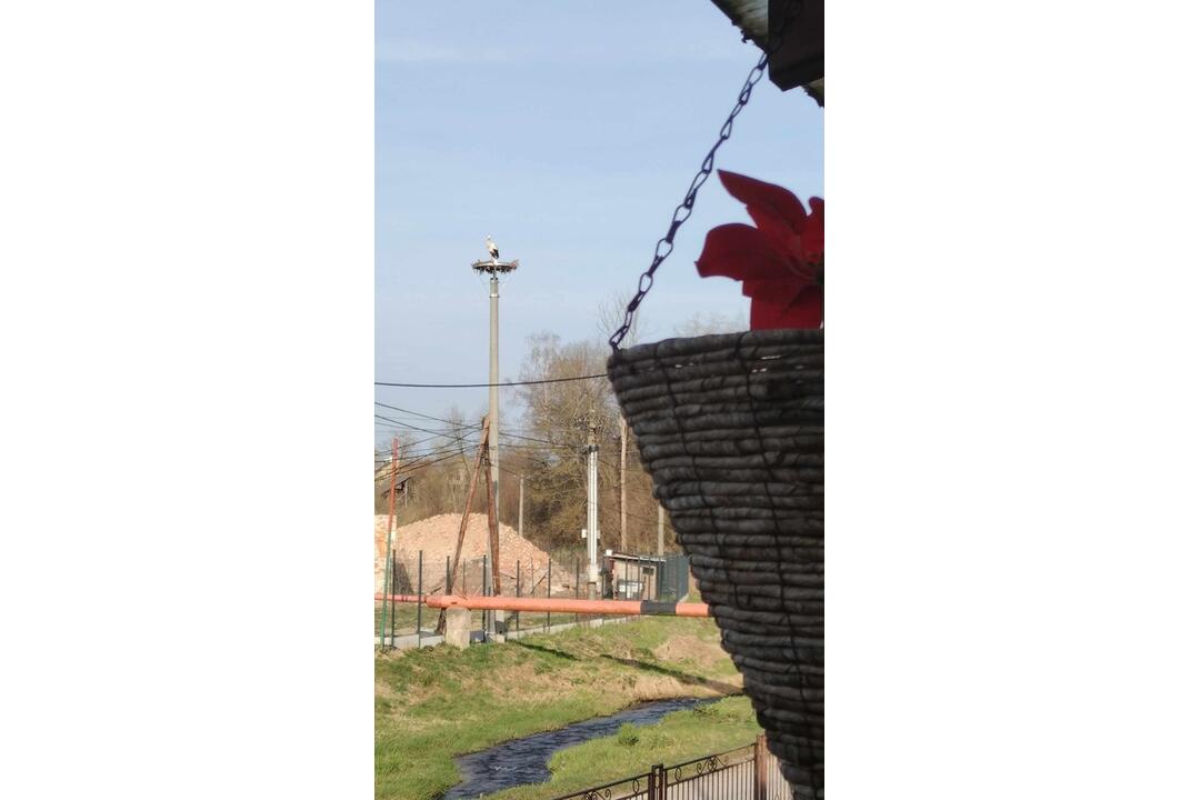 FOTO: Do Fričoviec sa vrátil bocian, foto 1