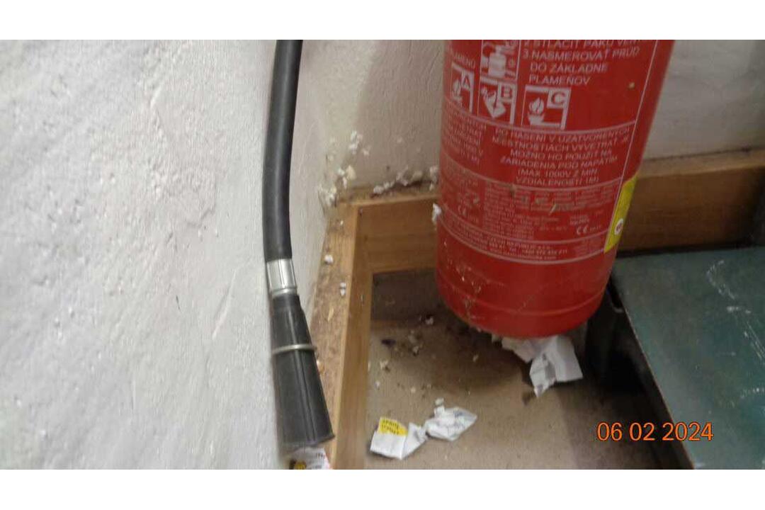 FOTO: Pleseň, exkrementy od hlodavcov aj potraviny po záruke. Toto sú najčastejšie nedostatky prevádzok, foto 4