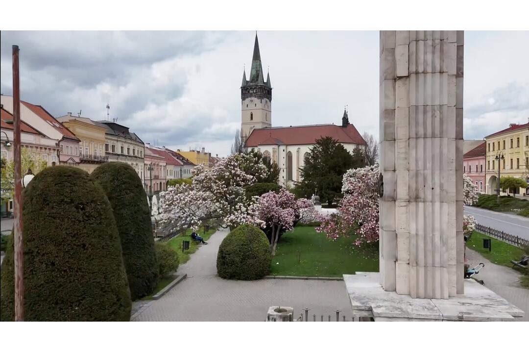 FOTO: V Prešove sa prebúdzajú kvety, foto 4