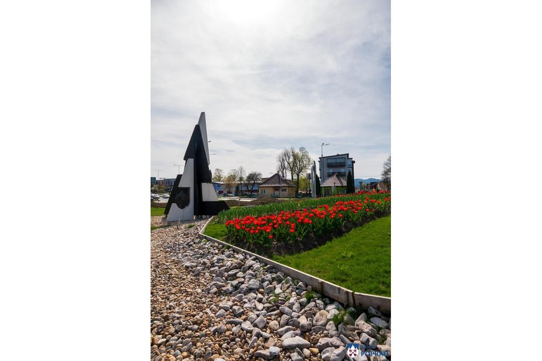 FOTO: Poprad ožíva farbami tulipánov, foto 2
