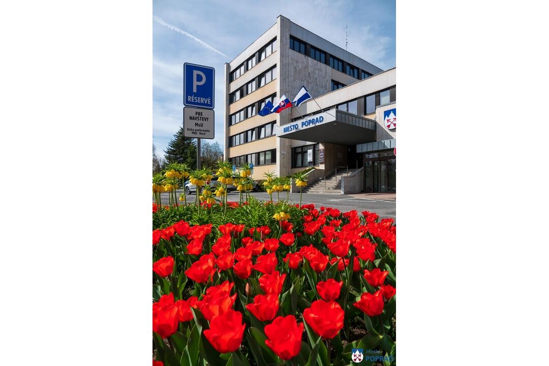 FOTO: Poprad ožíva farbami tulipánov, foto 5