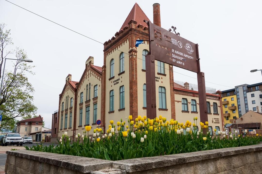 FOTO: Poprad ožíva farbami tulipánov, foto 10