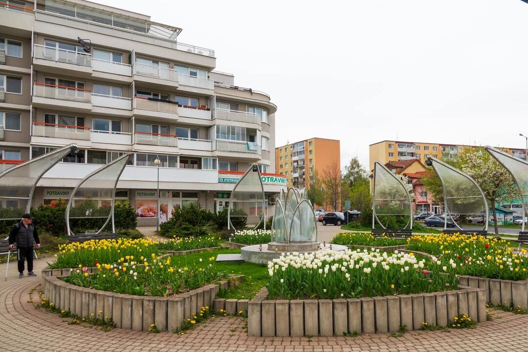 FOTO: Poprad ožíva farbami tulipánov, foto 19