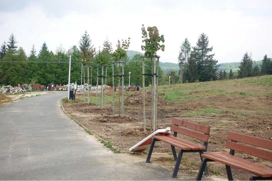 FOTO: V Snine vysadili dažďové záhrady a viac ako 200 stromov, foto 11