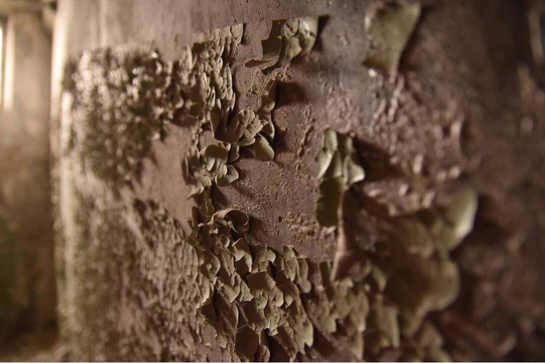 FOTO: Mestá duchov Černobyľ a Pripjať, foto 94