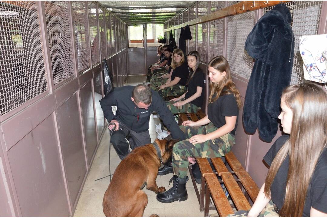 FOTO: V Snine prebehla medzinárodná príprava so psovodmi, foto 10