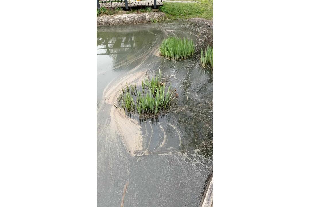 FOTO: Neporiadok vo vodnej nádrži Sigord, foto 6