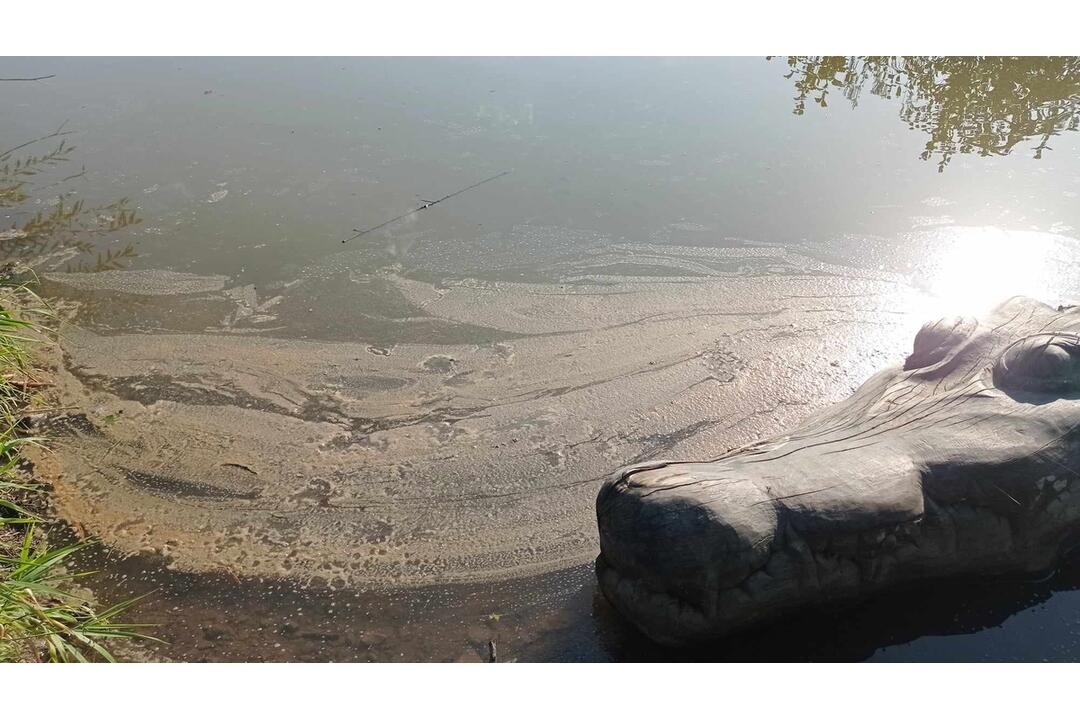 FOTO: Neporiadok vo vodnej nádrži Sigord, foto 9