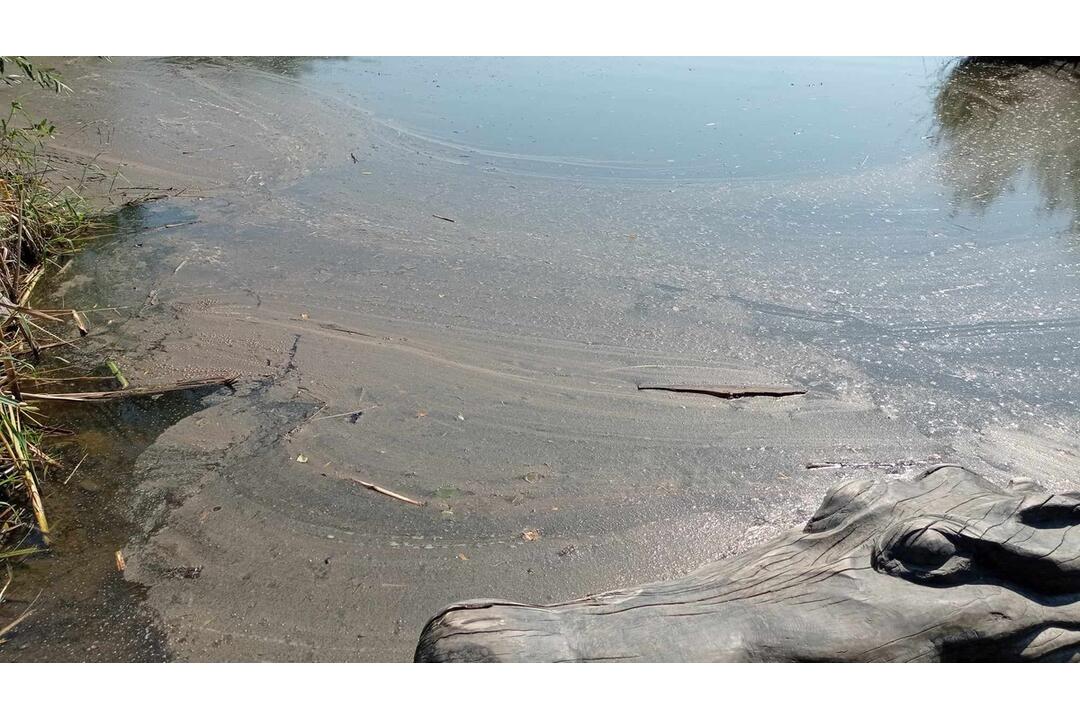 FOTO: Neporiadok vo vodnej nádrži Sigord, foto 11