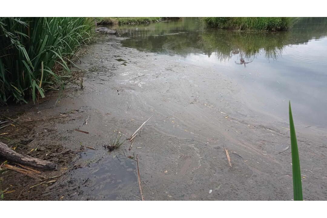 FOTO: Neporiadok vo vodnej nádrži Sigord, foto 12