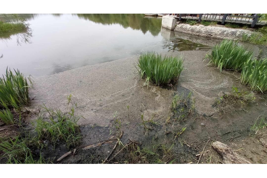 FOTO: Neporiadok vo vodnej nádrži Sigord, foto 14