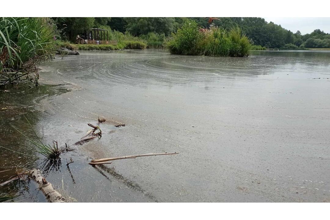 FOTO: Neporiadok vo vodnej nádrži Sigord, foto 18