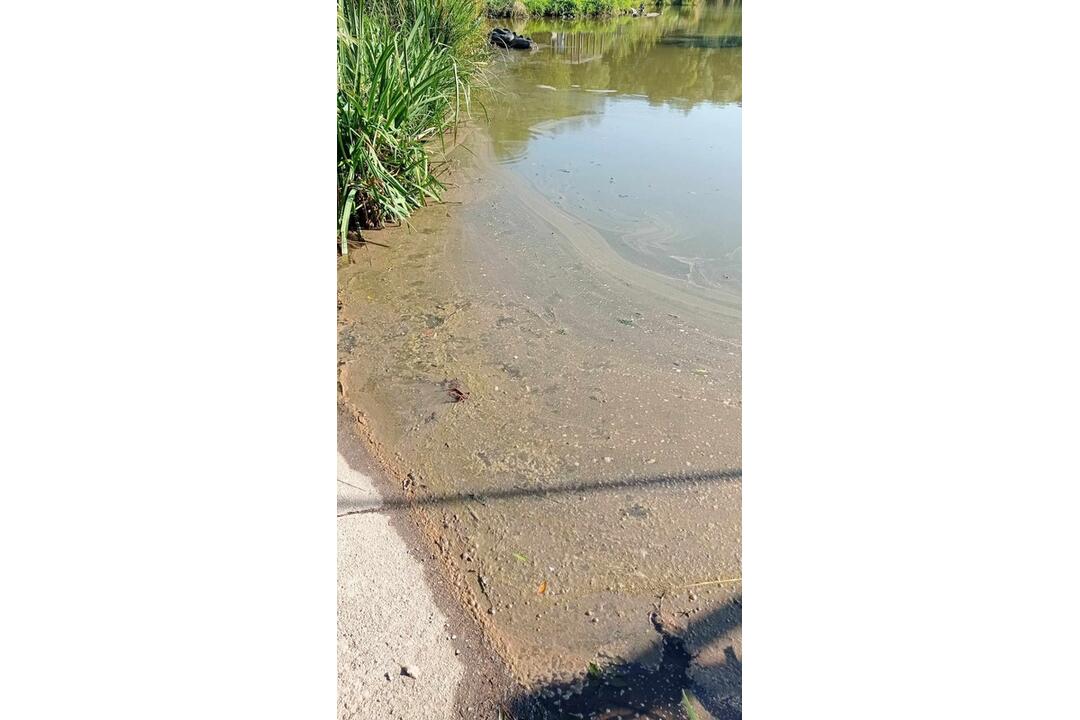 FOTO: Neporiadok vo vodnej nádrži Sigord, foto 19