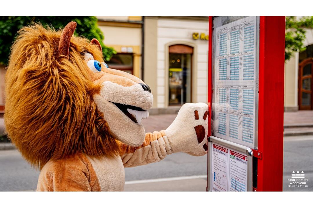 FOTO: Takto vyzeral Deň detí v Prešovskom kraji!, foto 19