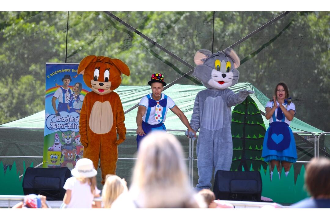 FOTO: Takto vyzeral Deň detí v Prešovskom kraji!, foto 64