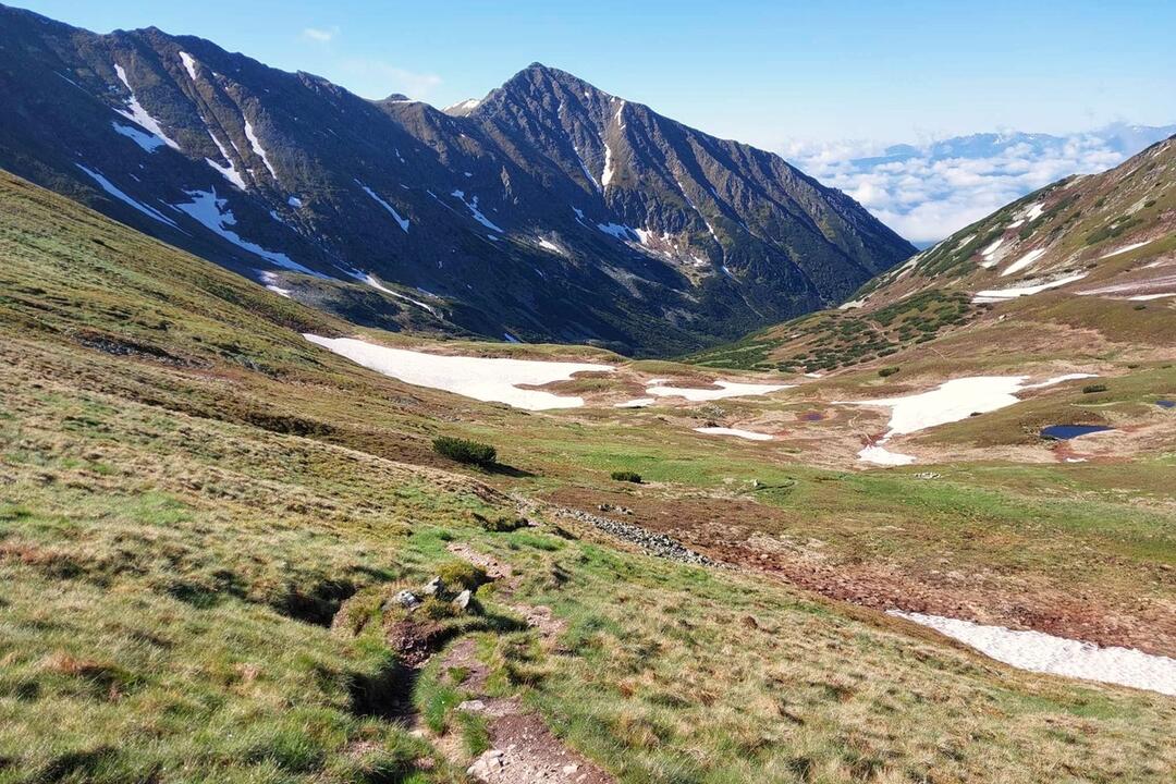 FOTO: Fotografie zo sčítania kamzíkov v Tatrách , foto 2
