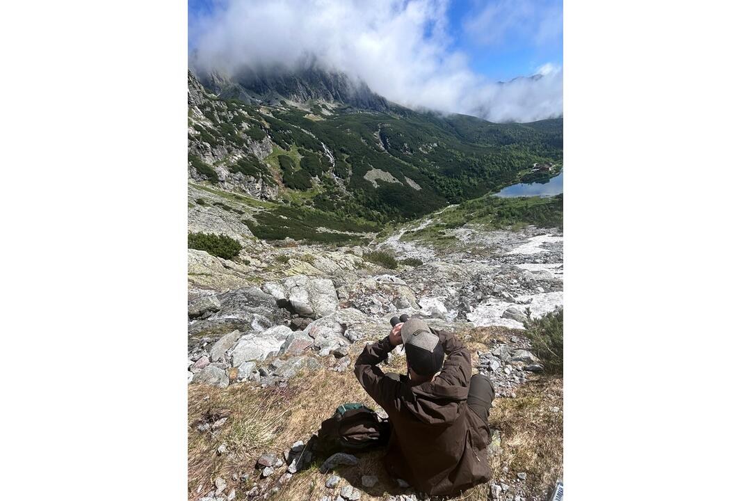 FOTO: Fotografie zo sčítania kamzíkov v Tatrách , foto 7