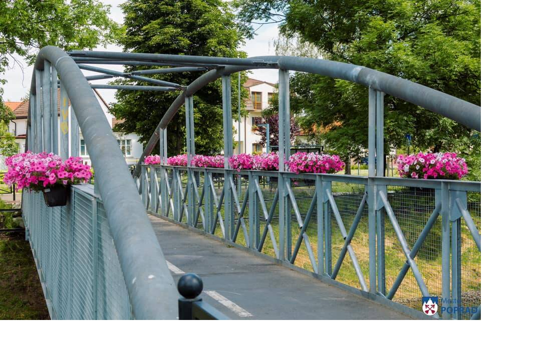 FOTO: kvietocky poprad, foto 2