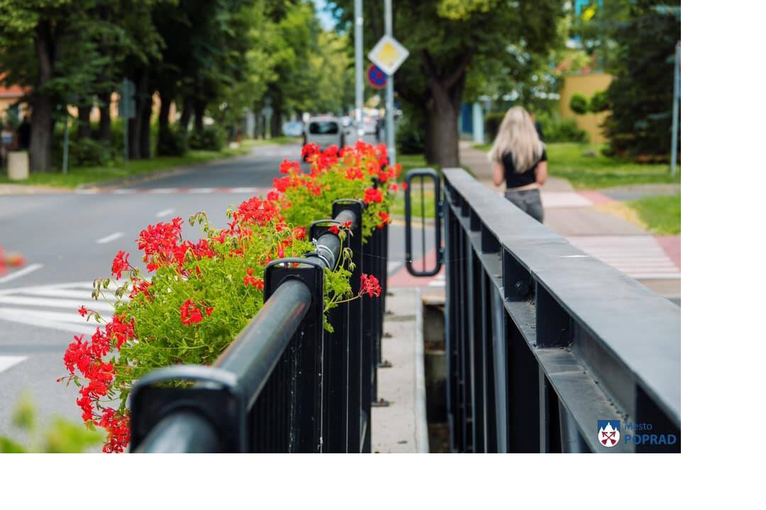 FOTO: kvietocky poprad, foto 3