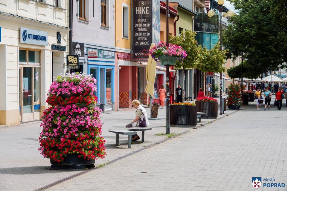 FOTO: kvietocky poprad, foto 11