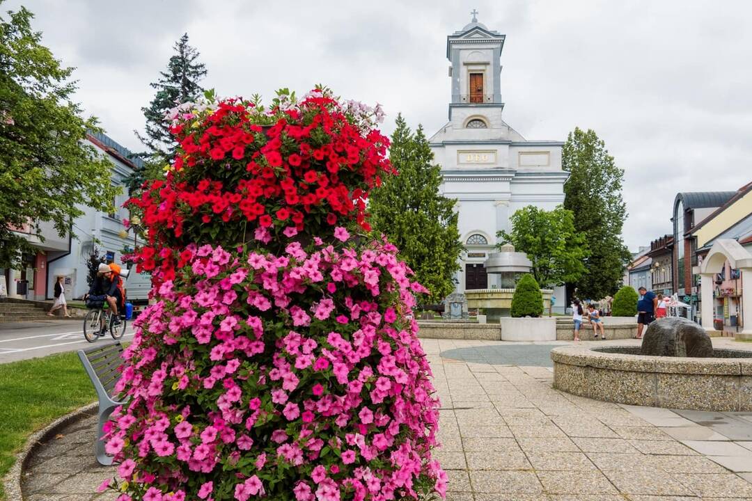 FOTO: kvietocky poprad, foto 13