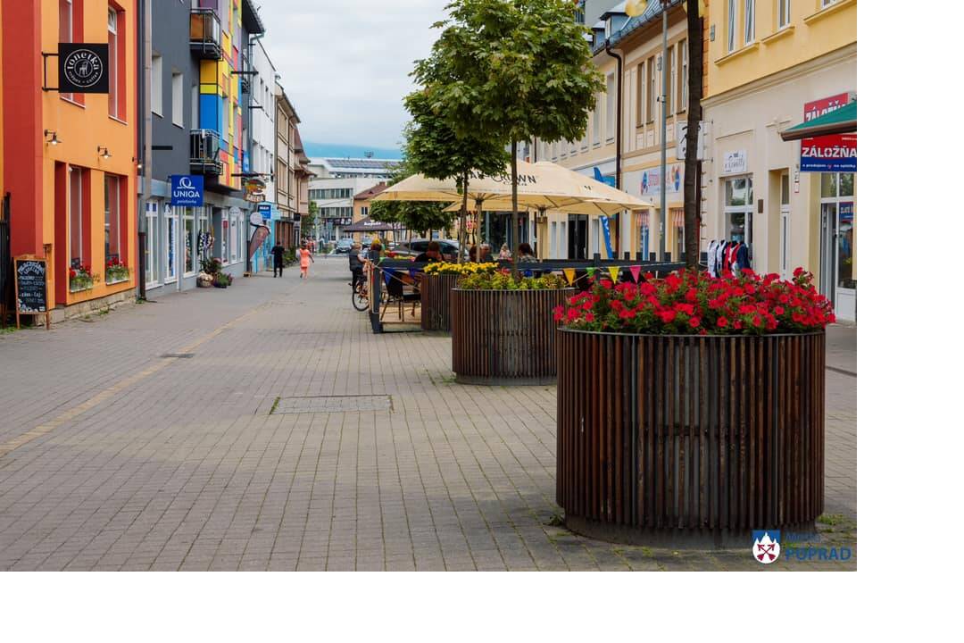 FOTO: kvietocky poprad, foto 14