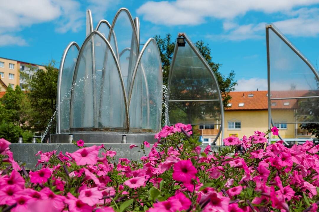 FOTO: kvietocky poprad, foto 15