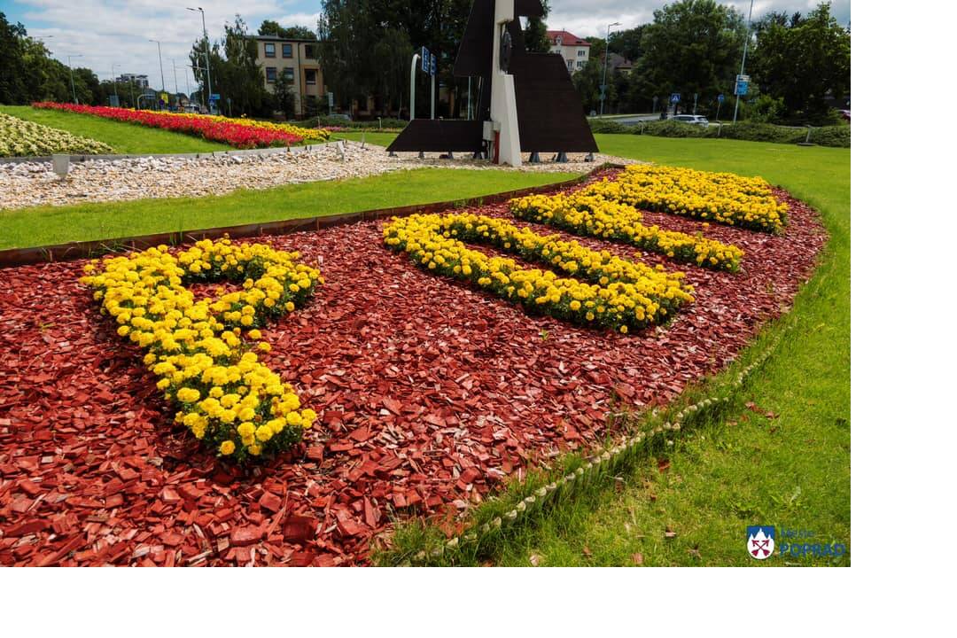 FOTO: kvietocky poprad, foto 17