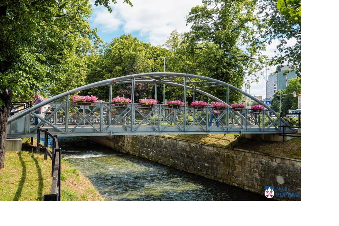 FOTO: kvietocky poprad, foto 19