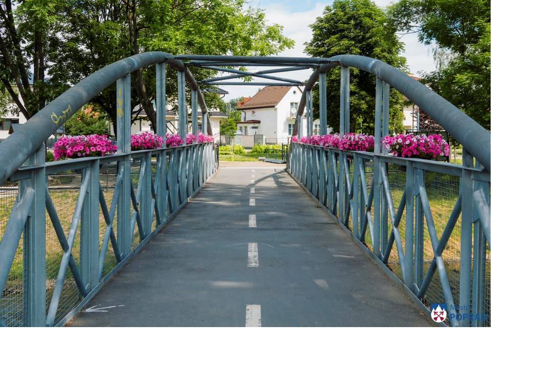 FOTO: kvietocky poprad, foto 20