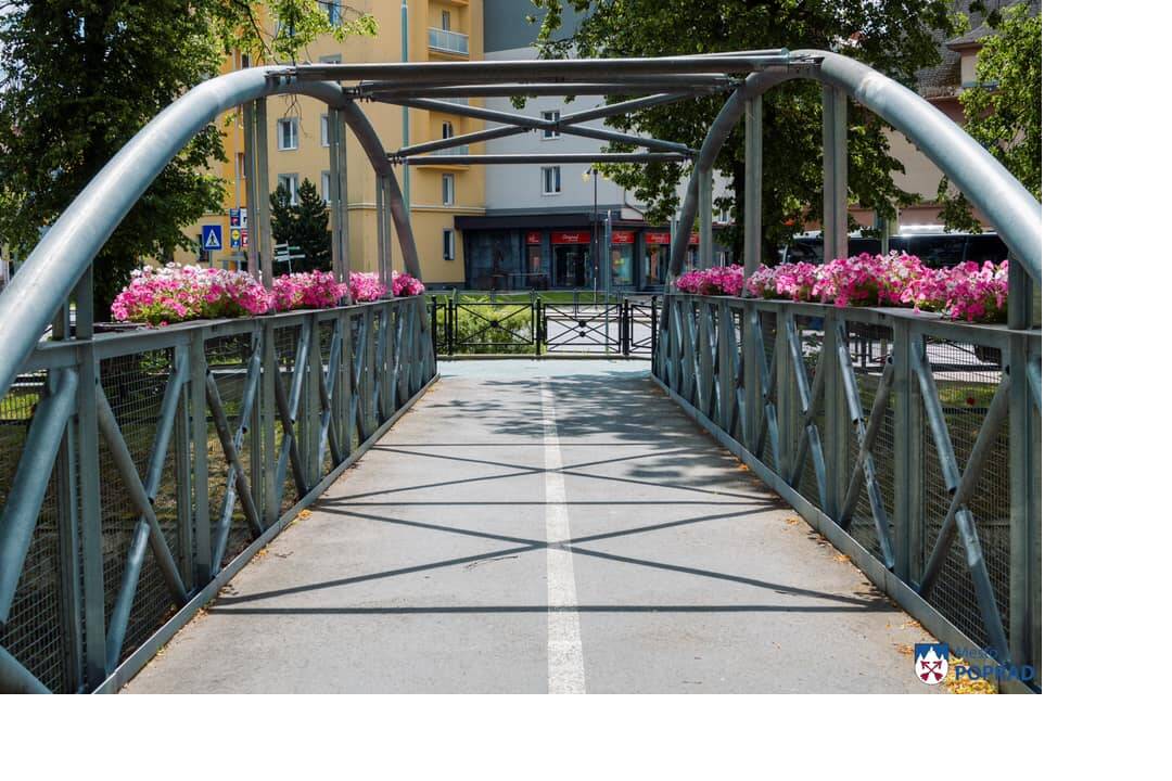 FOTO: kvietocky poprad, foto 21