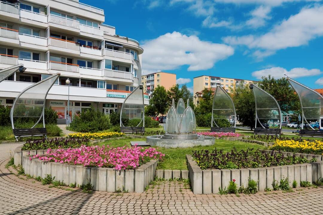 FOTO: kvietocky poprad, foto 26