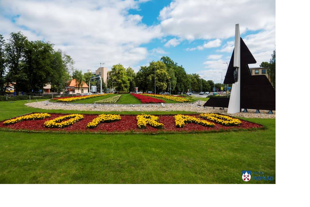 FOTO: kvietocky poprad, foto 27