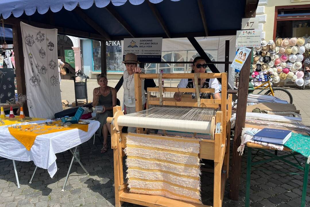 FOTO: 32. ročník festivalu EĽRO, foto 5