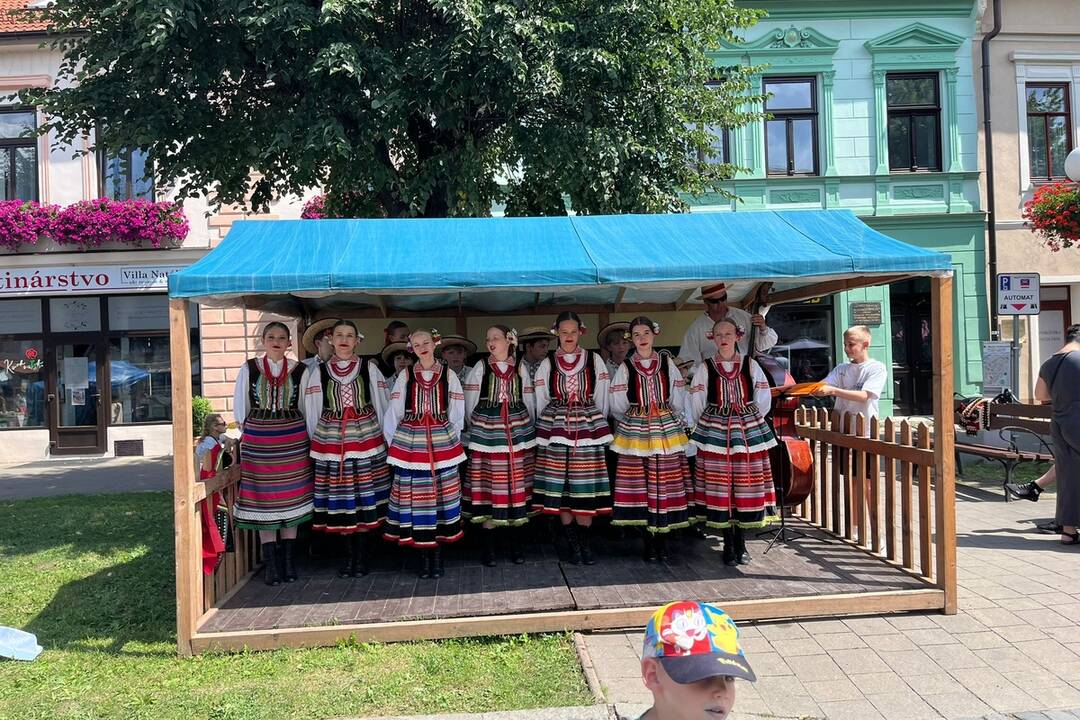 FOTO: 32. ročník festivalu EĽRO, foto 6