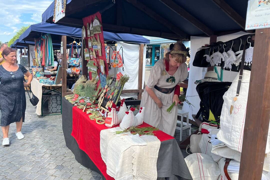 FOTO: 32. ročník festivalu EĽRO, foto 8