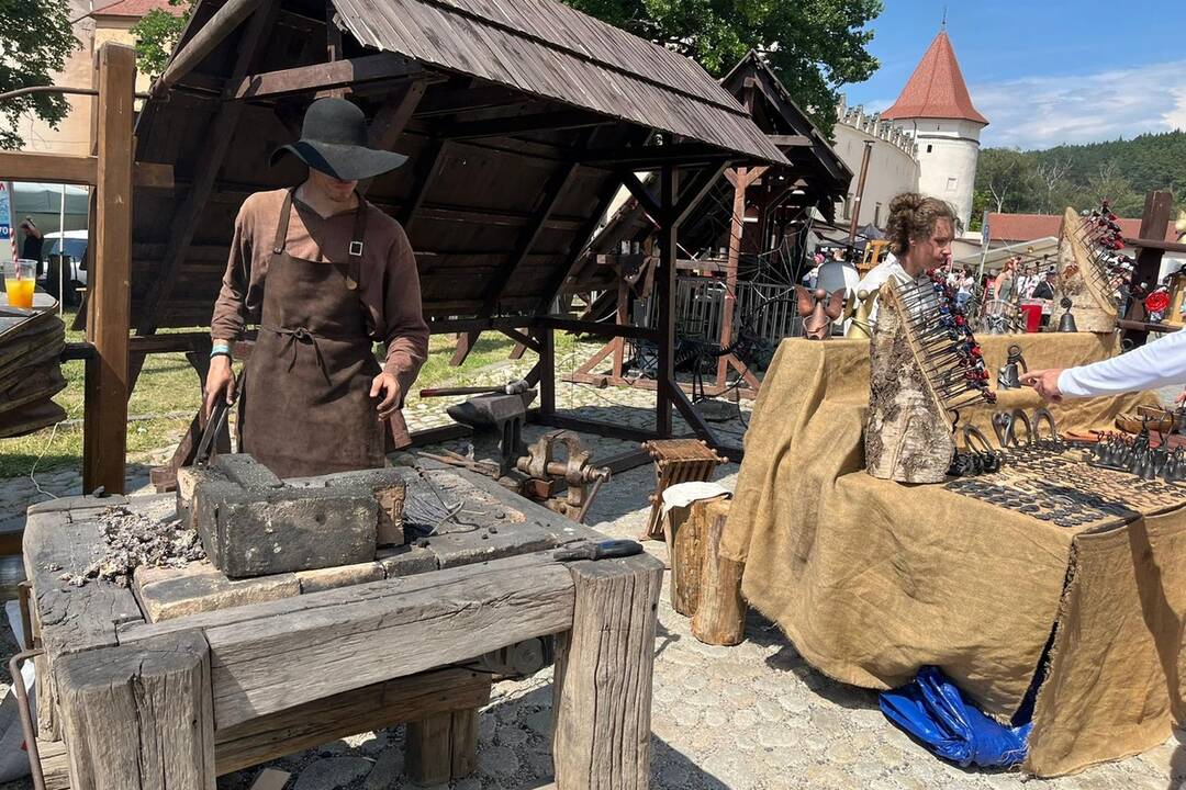 FOTO: 32. ročník festivalu EĽRO, foto 12